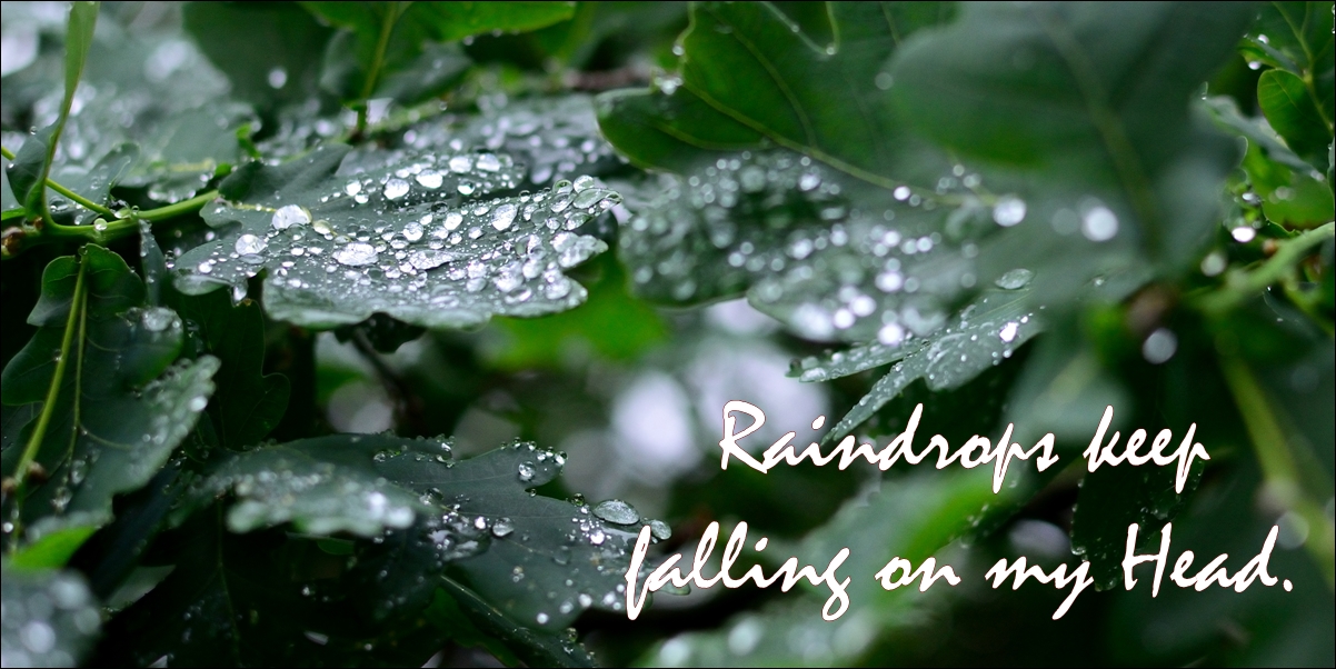 Raindrops keep falling