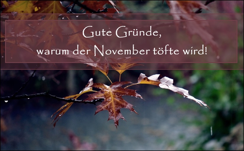 Monatsliebe: Warum der graue November töfte wird!
