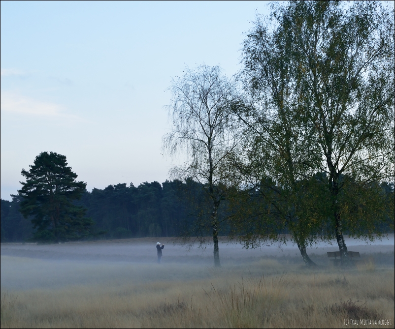 Monatsliebe Oktober Nebel Westruper Heide
