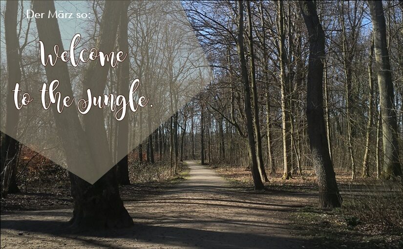 Monatsliebe März: Welcome to the Jungle.