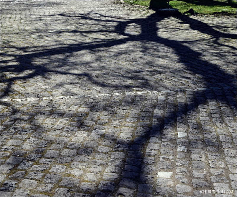 Schatten Baum Äste Bebilderung zum Thema Stress