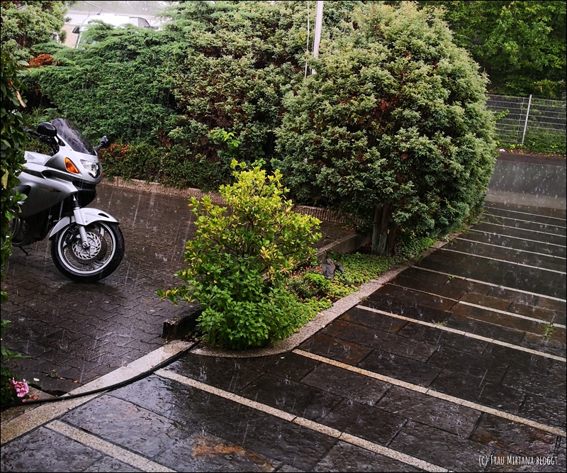 Vordere Hälfte vom Motorrad im Regen auf Parkplatz - Bebilderung für Beitragsserie Monatsliebe - August