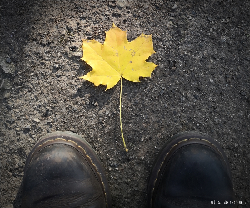 Herbstliebe Monatsliebe Oktober - Gelbes Ahornblatt auf Asphalt vor braunen Schuhspitzen
