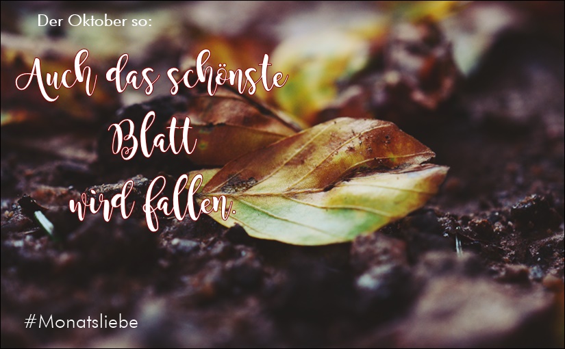 Headerbild für Blogpost mit Schriftzug "Monatsliebe Oktober: auch das schönste Blatt wird fallen." und Einzelnaufnahme eines bunten Herbstblattes auf Waldboden