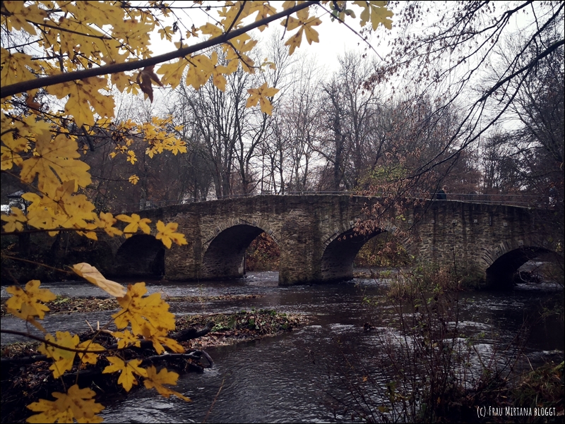 Blick auf die historische Brücke über die Nister am Kloster Marienstatt. Im Vordergrund ein paar Äste mit gelben Herbstblättern, graue Novemberstimmung