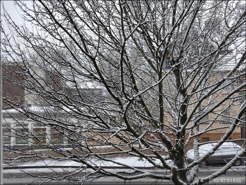 Sonntagsbaum - Blick vom Wohnzimmerfenster auf einen Baum