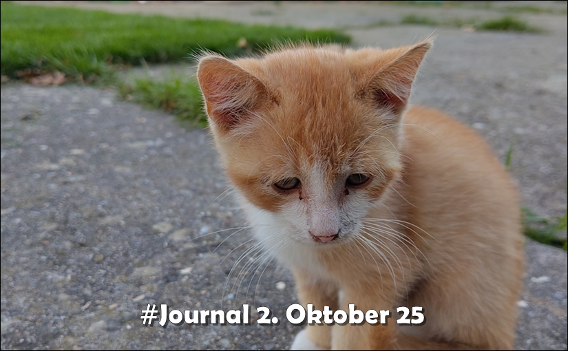 #Journal 2. Oktober 25