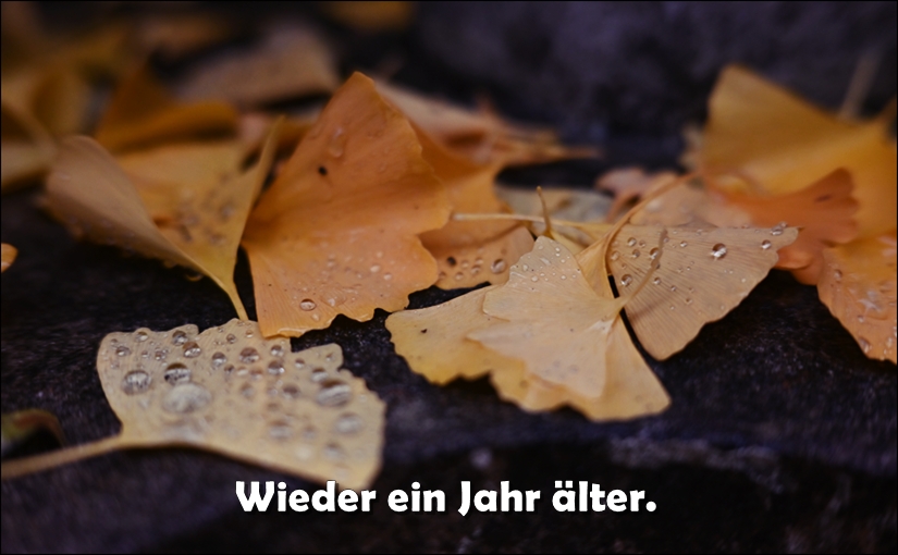 Herbstlich gefärbte Gingko-Blätter auf dem Boden, bedeckt mit feinen Wassertropfen, Schriftzug "Wieder ein Jahr älter".