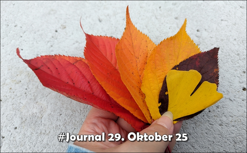 Sechs Herbstblätter von rot bis gelb vor einer Hauswand, festgehalten von einer Hand, Schriftzug #Journal 29. Oktober 25
