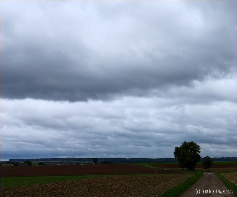 Landschaft, Felder mit einem einsamen Baum, angeschnittener Feldweg mit dunklen, dramatischen Wolken für Monatsliebe November, kein Bezug zum Text