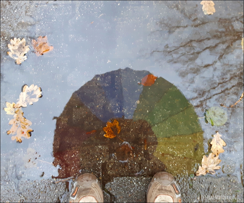 Pfütze mit Herbstblättern, Schuhspitzen unten im Bild, in der Pfütze spiegelt sich ein regenbogenfarbener Regenschirm