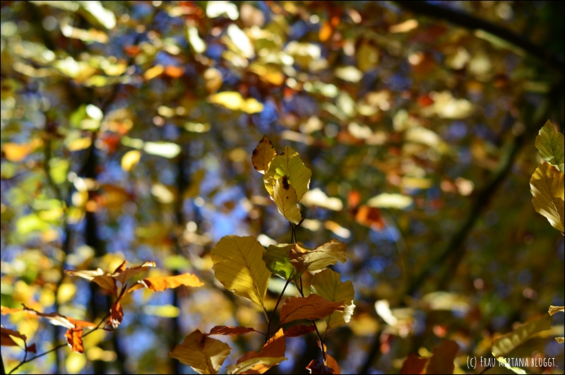 251107 Journalblog 004