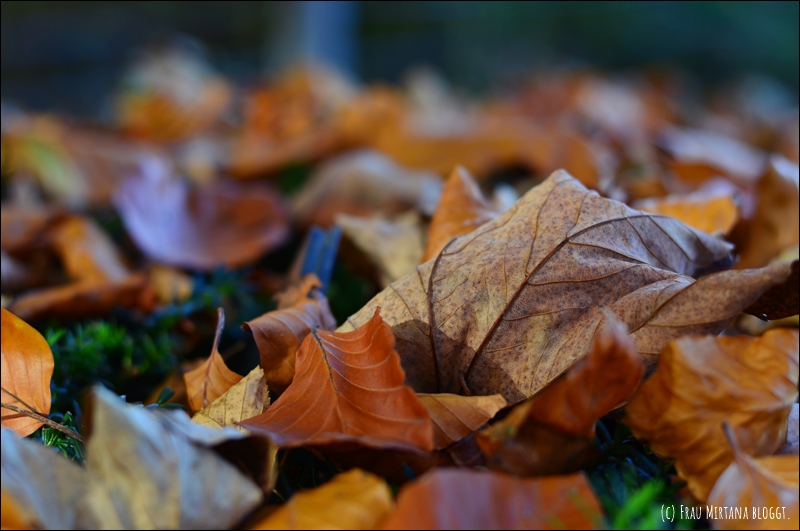 251107 Journalblog 005