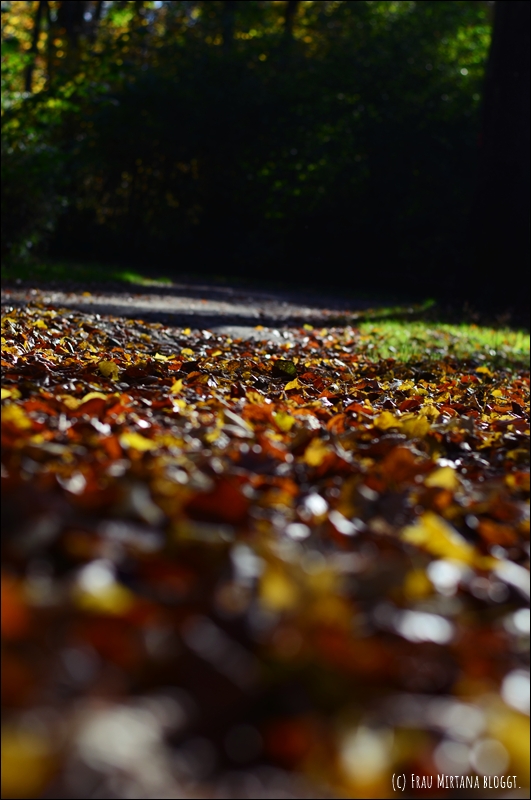 251107 Journalblog 006