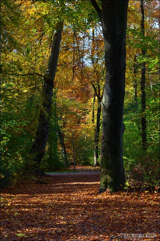 251107 Journalblog 007