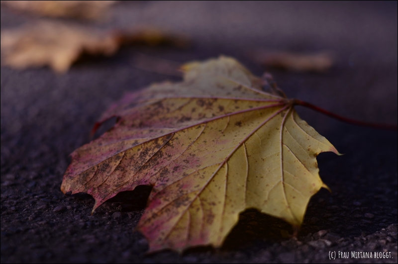 251107 Journalblog 010