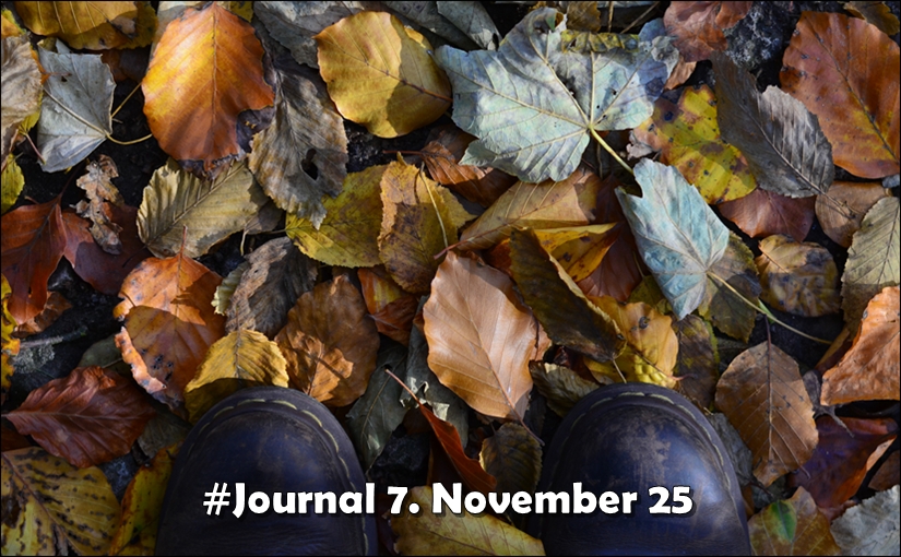 Aufsicht von oben auf Schuhspitzen, braun, die auf Laub stehen. Unten die Aufschrift '#Journal 7. November 25"