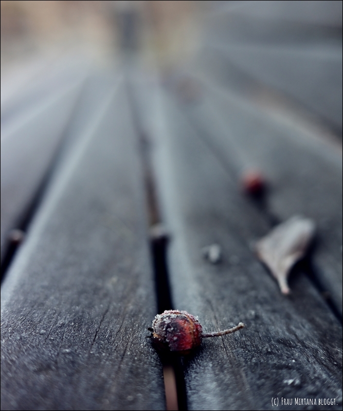 251123 Schweigen 013