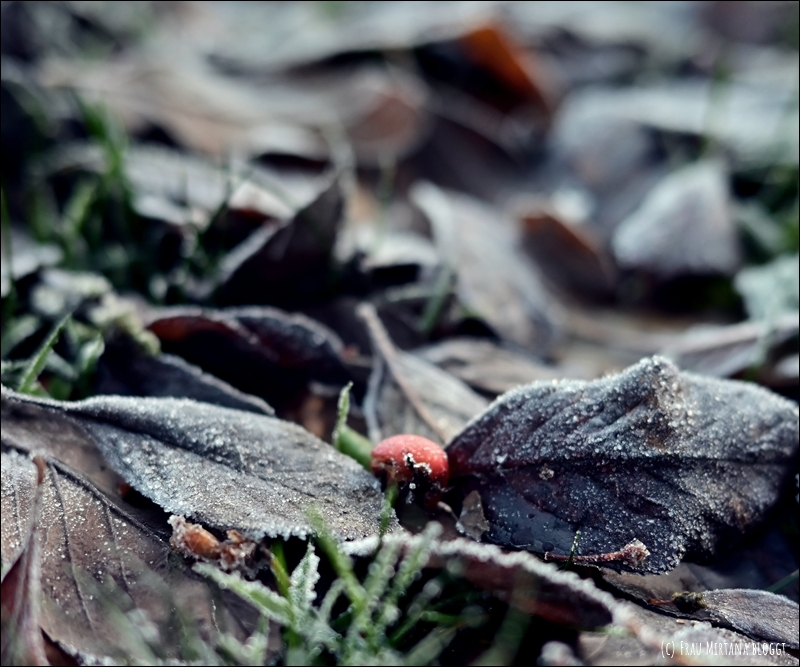 251123 Schweigen 014