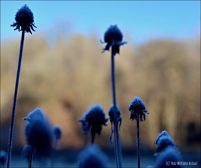 251123 Schweigen 019