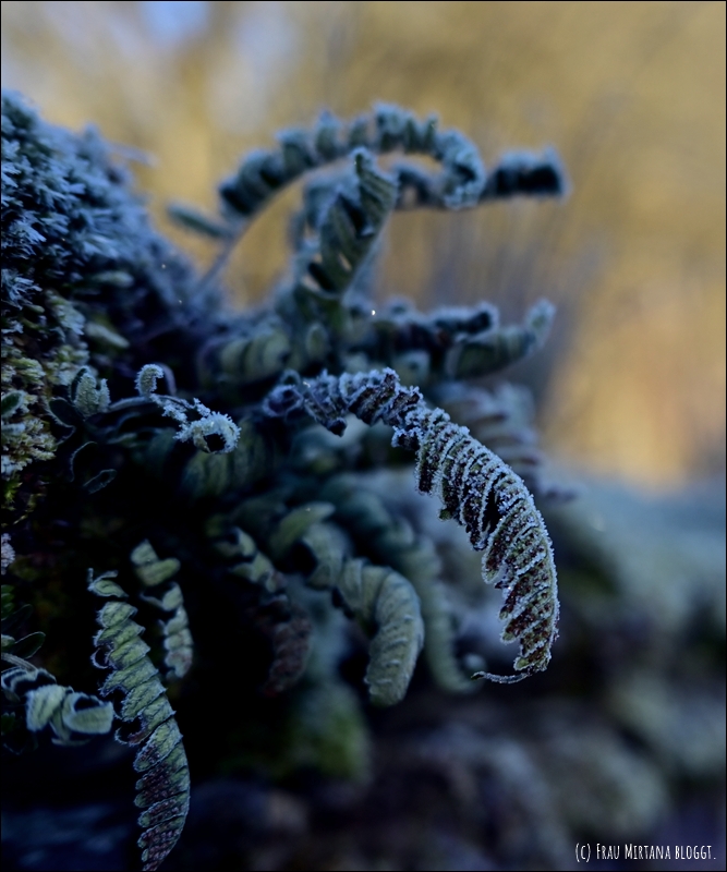 251123 Schweigen 022