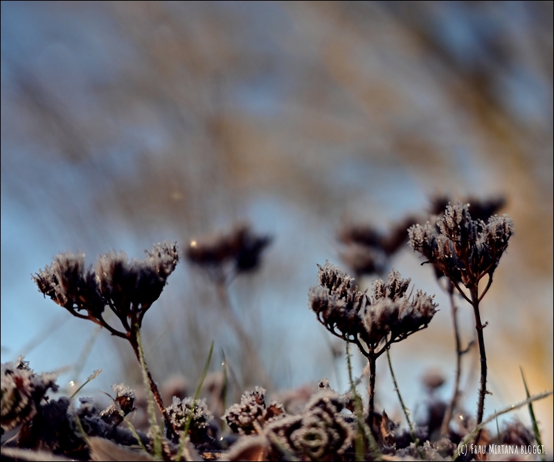 251123 Schweigen 023