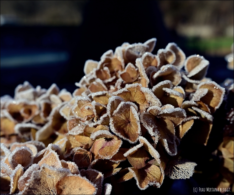 251123 Schweigen 027